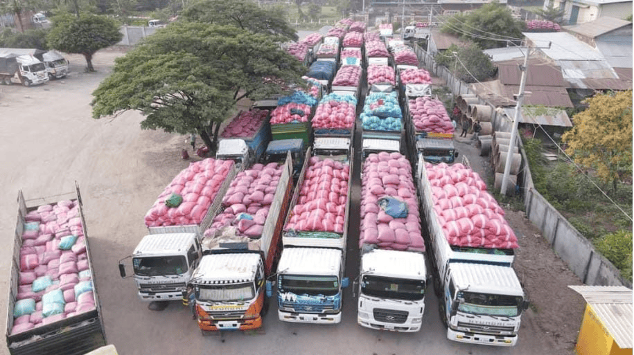 Cambodia-Vietnam trade climbs 7% in first eight months of the year