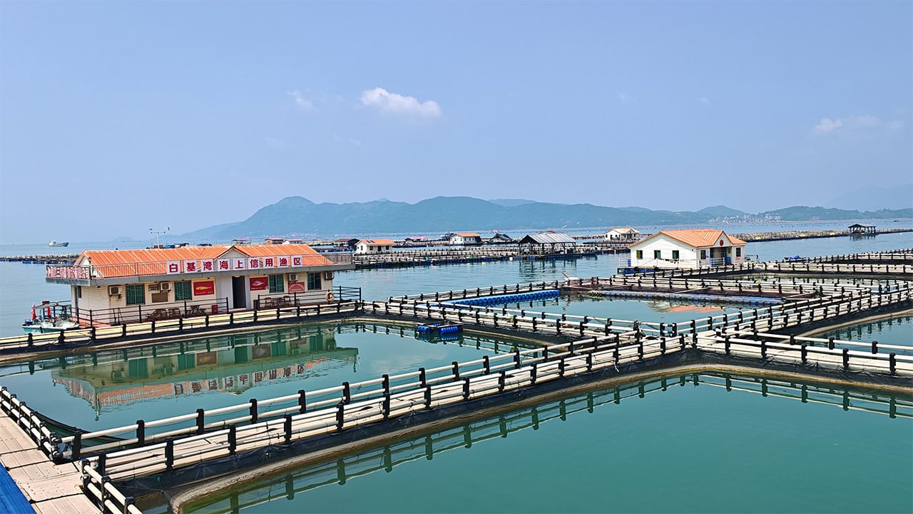 Fujian aquaculture model offers lessons for Cambodia, ASEAN